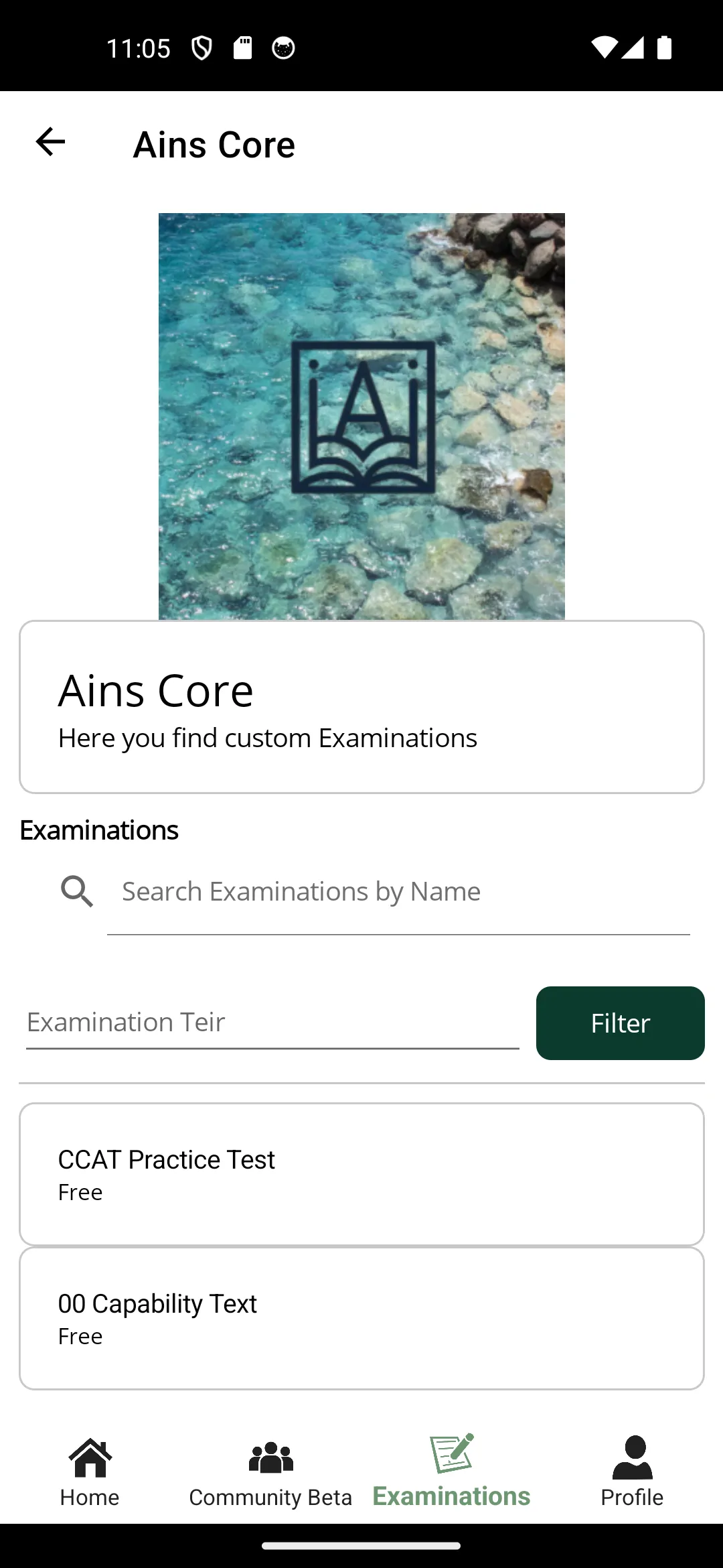 Ains Mobile Examination page